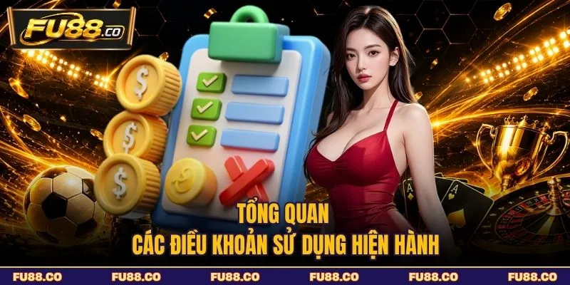Tổng quan các điều khoản sử dụng hiện hành